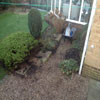 garden makeover
